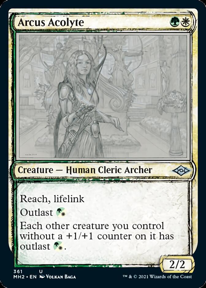 Arcus Acolyte (Sketch) [Modern Horizons 2] | Fandemonia Ltd