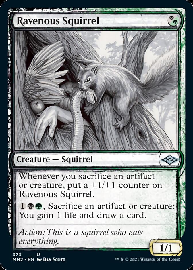 Ravenous Squirrel (Sketch) [Modern Horizons 2] | Fandemonia Ltd