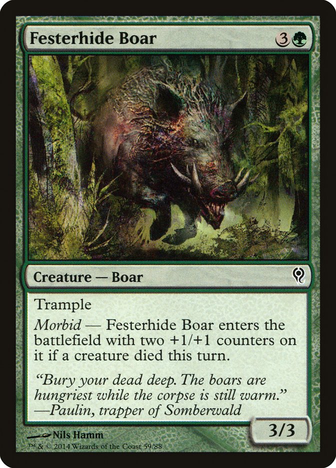 Festerhide Boar [Duel Decks: Jace vs. Vraska] | Fandemonia Ltd