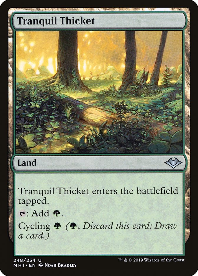 Tranquil Thicket [Modern Horizons] | Fandemonia Ltd