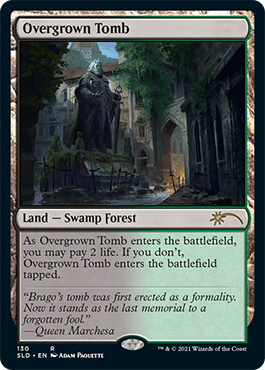 Overgrown Tomb [Secret Lair Drop Series] | Fandemonia Ltd