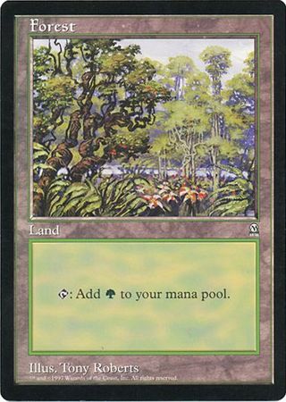 Forest (Oversized) [Oversize Cards] | Fandemonia Ltd