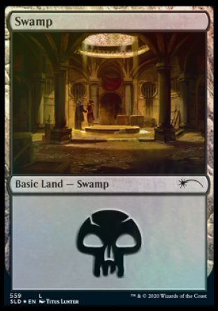 Swamp (Rogues) (559) [Secret Lair Drop Promos] | Fandemonia Ltd