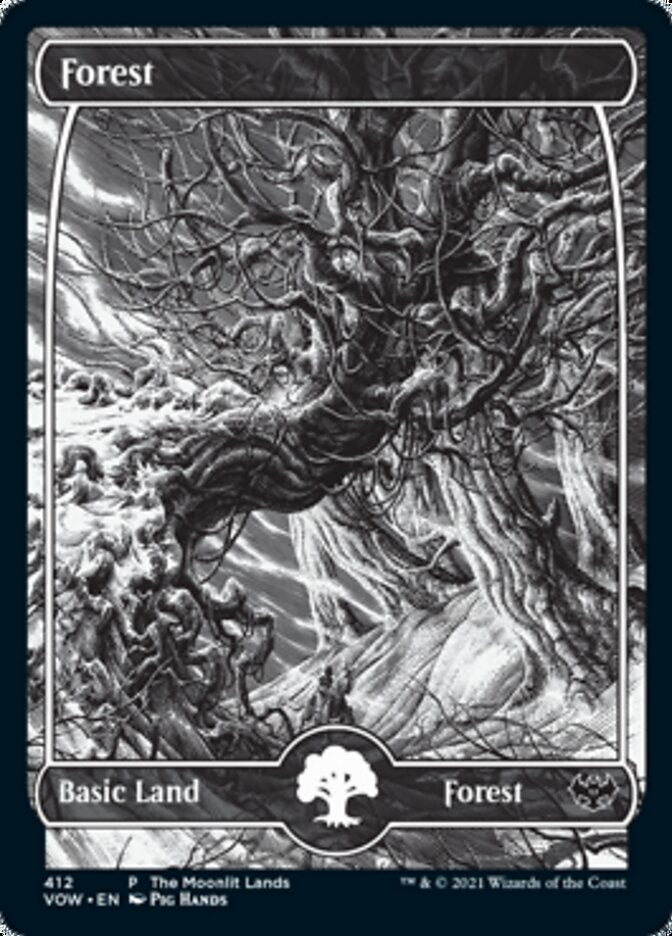 Forest (The Moonlit Lands) (Foil Etched) [Innistrad: Crimson Vow Promos] | Fandemonia Ltd