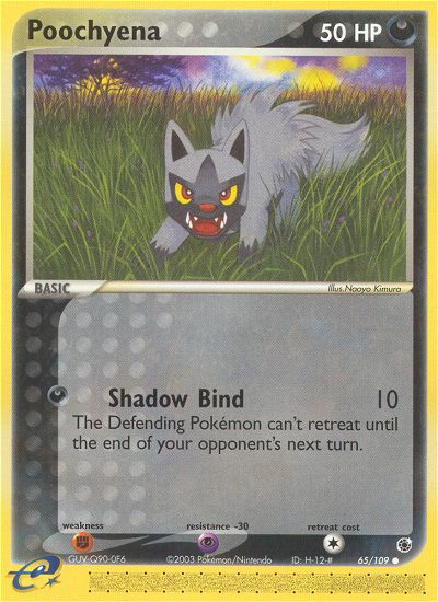 Poochyena (65/109) [EX: Ruby & Sapphire] | Fandemonia Ltd