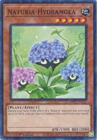 Naturia Hydrangea (Duel Terminal) [HAC1-EN107] Common | Fandemonia Ltd