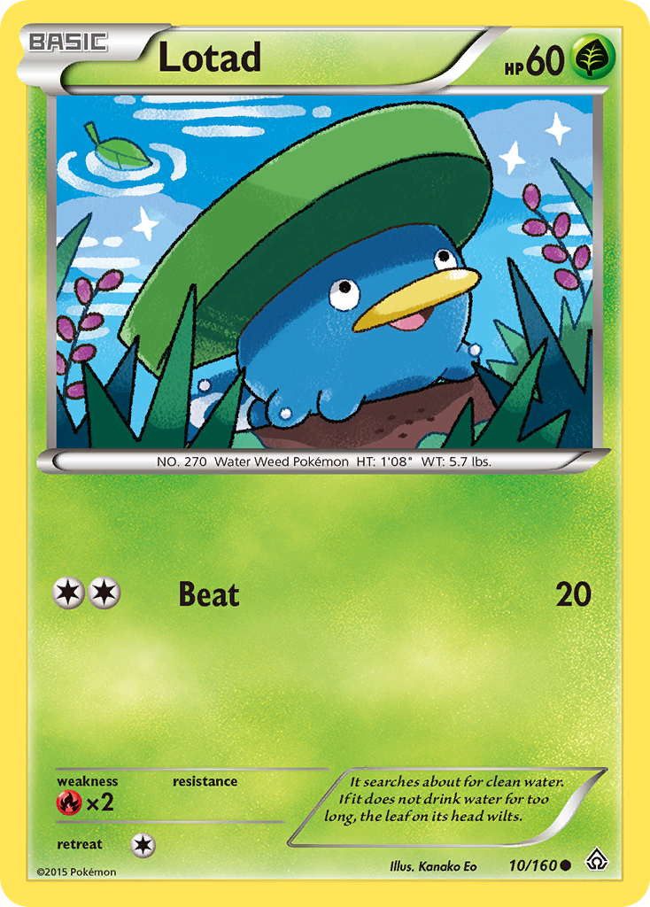 Lotad (10/160) [XY: Primal Clash] | Fandemonia Ltd