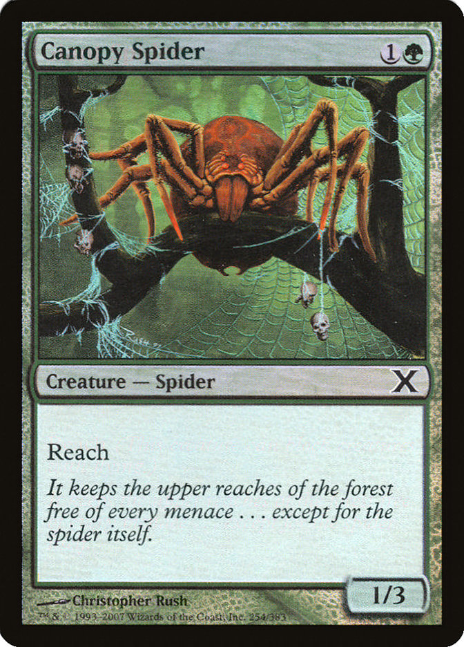 Canopy Spider (Premium Foil) [Tenth Edition] | Fandemonia Ltd