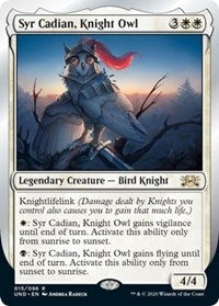 Syr Cadian, Knight Owl [Unsanctioned] | Fandemonia Ltd