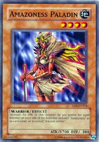 Amazoness Paladin [DR1-EN114] Common | Fandemonia Ltd