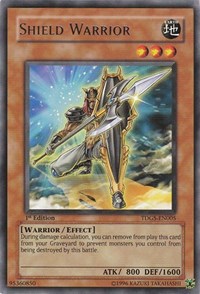 Shield Warrior [TDGS-EN005] Rare | Fandemonia Ltd