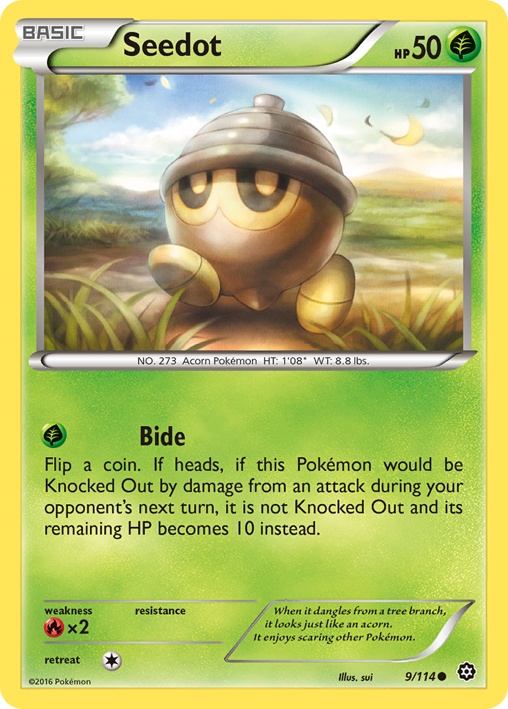 Seedot (9/114) [XY: Steam Siege] | Fandemonia Ltd