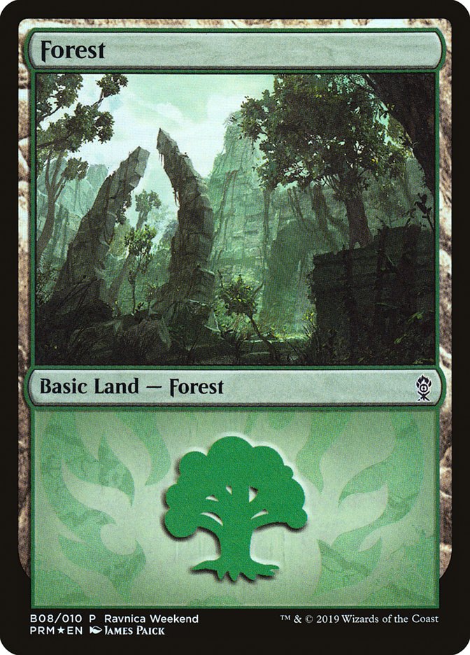 Forest (B08) [Ravnica Allegiance Guild Kit] | Fandemonia Ltd