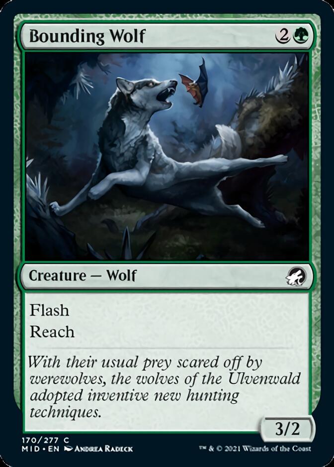 Bounding Wolf [Innistrad: Midnight Hunt] | Fandemonia Ltd