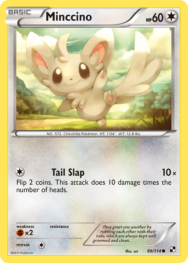 Minccino (88/114) [Black & White: Base Set] | Fandemonia Ltd