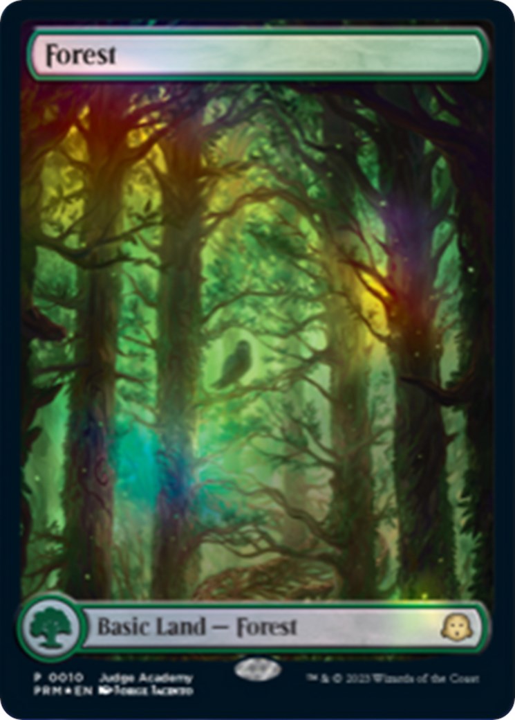 Forest [Judge Gift Cards 2023] | Fandemonia Ltd