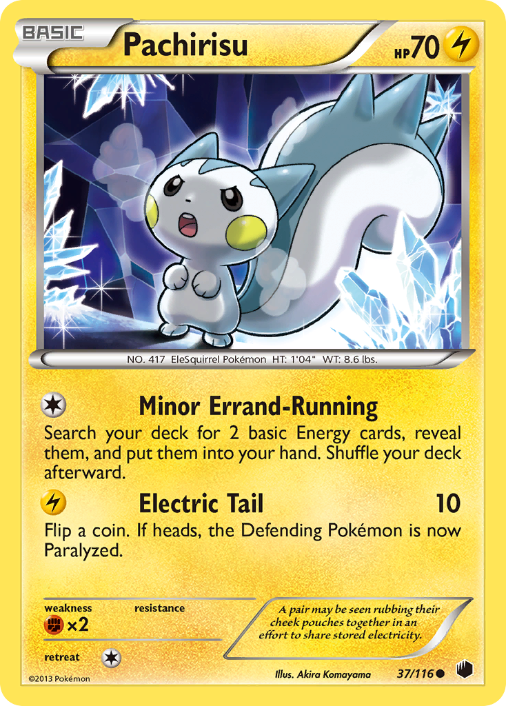 Pachirisu (37/116) [Black & White: Plasma Freeze] | Fandemonia Ltd