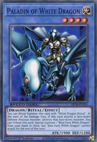 Paladin of White Dragon [SBCB-EN185] Common | Fandemonia Ltd