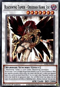 Blackwing Tamer - Obsidian Hawk Joe [LDS2-EN042] Common | Fandemonia Ltd