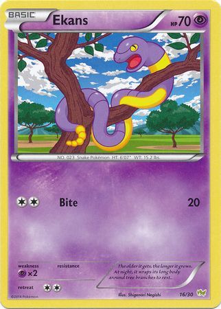 Ekans (16/30) [XY: Trainer Kit - Noivern] | Fandemonia Ltd