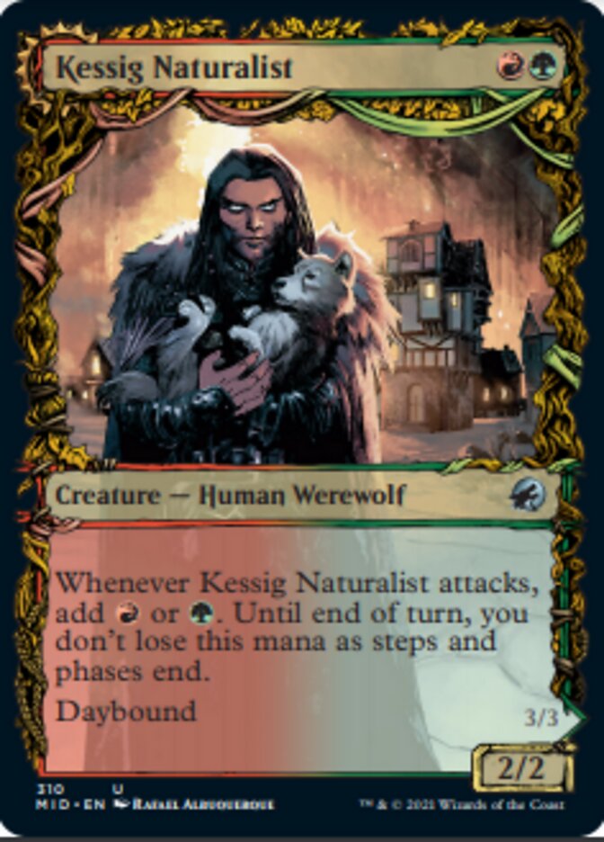 Kessig Naturalist // Lord of the Ulvenwald (Showcase Equinox) [Innistrad: Midnight Hunt] | Fandemonia Ltd