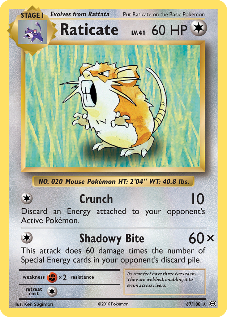 Raticate (67/108) [XY: Evolutions] | Fandemonia Ltd