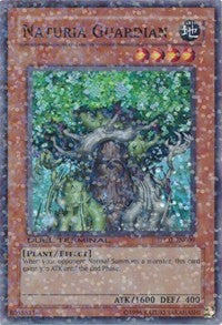 Naturia Guardian [DT02-EN009] Super Rare | Fandemonia Ltd