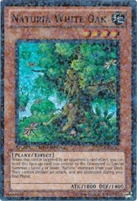 Naturia White Oak [DT04-EN081] Super Rare | Fandemonia Ltd