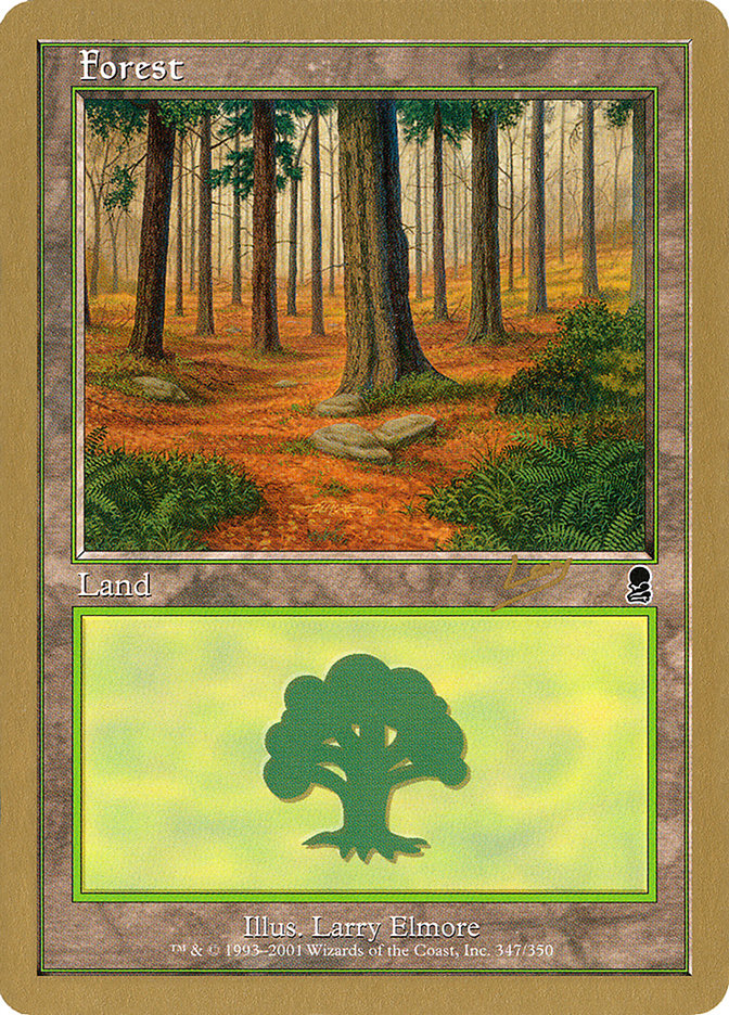 Forest (rl347) (Raphael Levy) [World Championship Decks 2002] | Fandemonia Ltd