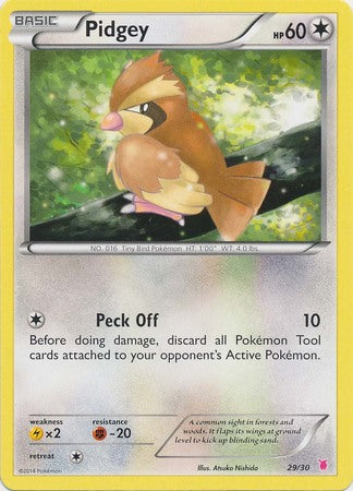 Pidgey (29/30) [XY: Trainer Kit 1 - Wigglytuff] | Fandemonia Ltd