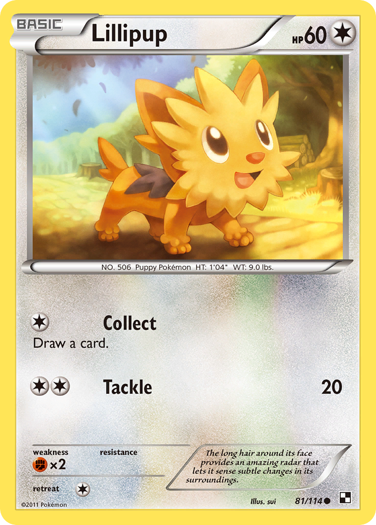 Lillipup (81/114) [Black & White: Base Set] | Fandemonia Ltd