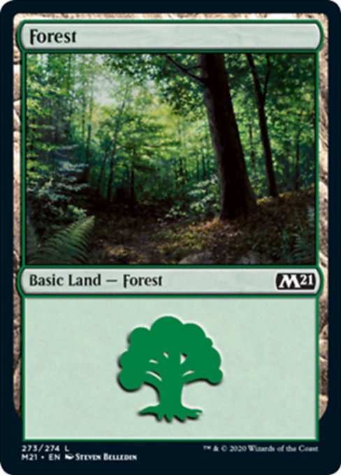 Forest (273) [Core Set 2021] | Fandemonia Ltd