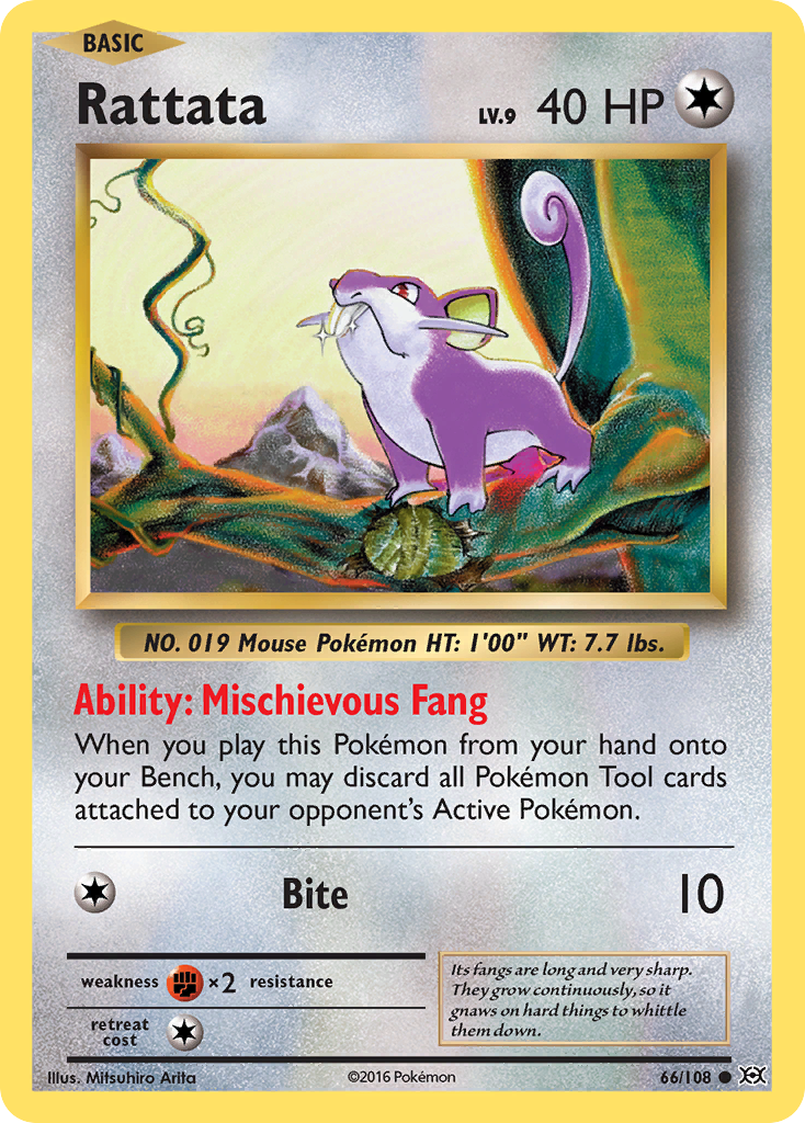 Rattata (66/108) [XY: Evolutions] | Fandemonia Ltd