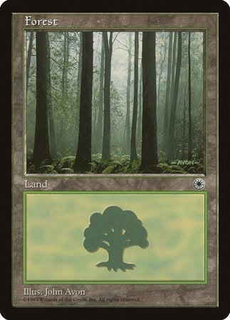 Forest (Ferns on Ground) [Portal] | Fandemonia Ltd