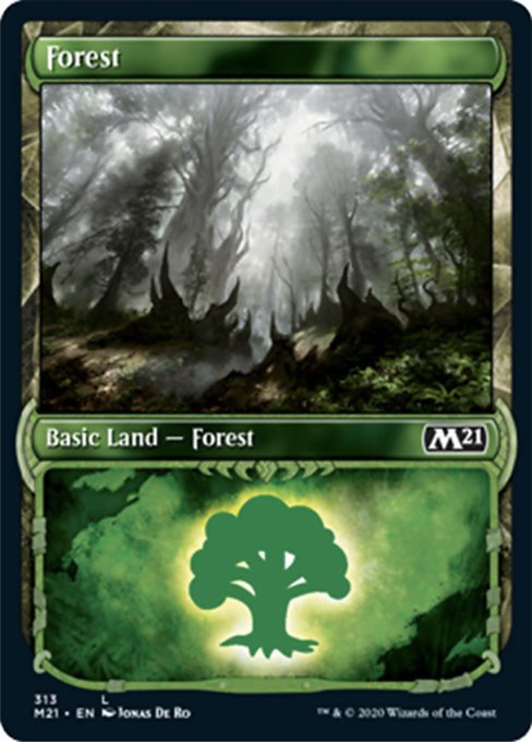 Forest (Showcase) [Core Set 2021] | Fandemonia Ltd