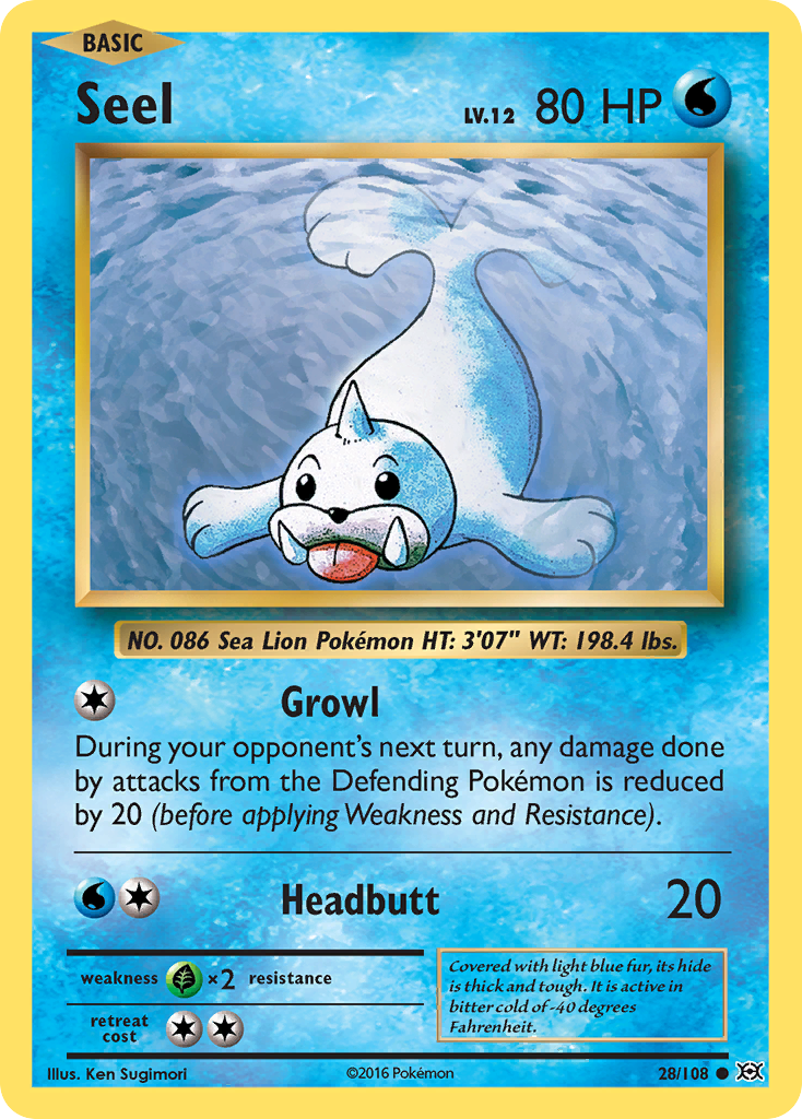 Seel (28/108) [XY: Evolutions] | Fandemonia Ltd