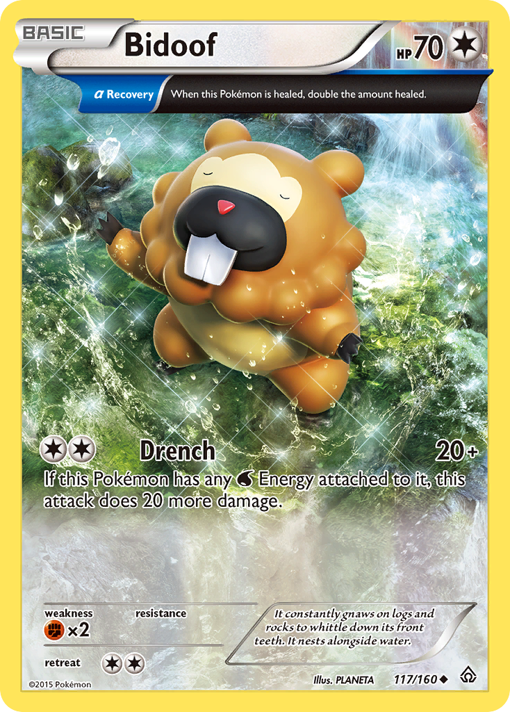 Bidoof (117/160) [XY: Primal Clash] | Fandemonia Ltd