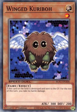 Winged Kuriboh [SGX1-ENA06] Common | Fandemonia Ltd