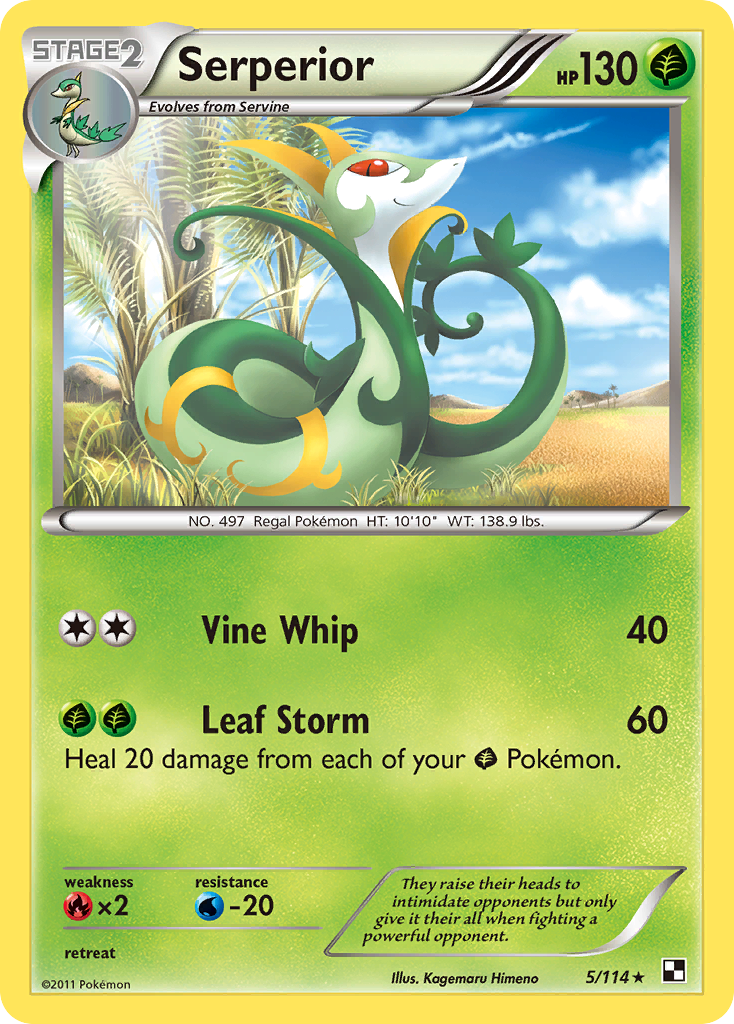 Serperior (5/114) [Black & White: Base Set] | Fandemonia Ltd